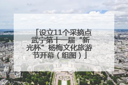 设立11个采摘点 武宁第十一届“新光杯”杨梅文化旅游节开幕（组图）