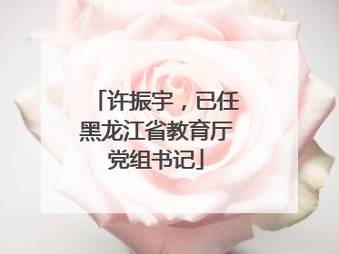 许振宇，已任黑龙江省教育厅党组书记
