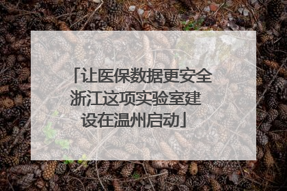 让医保数据更安全 浙江这项实验室建设在温州启动