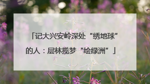 记大兴安岭深处“绣地球”的人：层林揽梦“绘绿洲”