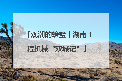 观潮的螃蟹丨湖南工程机械“双城记”