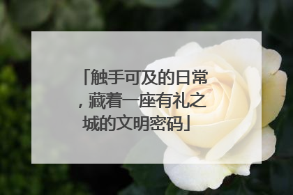 触手可及的日常，藏着一座有礼之城的文明密码