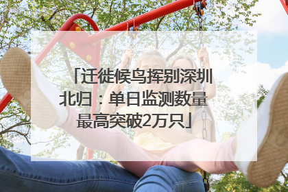 迁徙候鸟挥别深圳北归：单日监测数量最高突破2万只