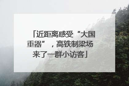 近距离感受“大国重器”，高铁制梁场来了一群小访客