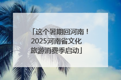 这个暑期回河南！2025河南省文化旅游消费季启动