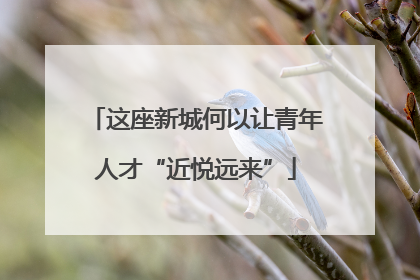 这座新城何以让青年人才“近悦远来”