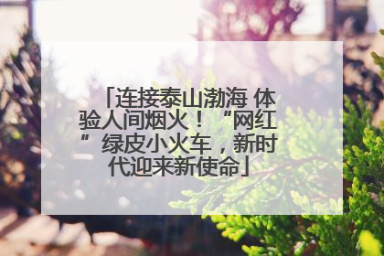 连接泰山渤海 体验人间烟火！“网红”绿皮小火车，新时代迎来新使命