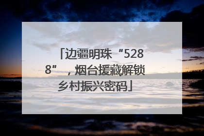 边疆明珠“5288”，烟台援藏解锁乡村振兴密码