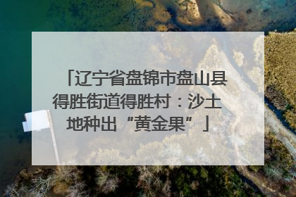 辽宁省盘锦市盘山县得胜街道得胜村：沙土地种出“黄金果”