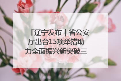 辽宁发布｜省公安厅出台15项举措助力全面振兴新突破三年行动决胜之战