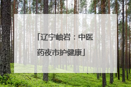 辽宁岫岩：中医药夜市护健康