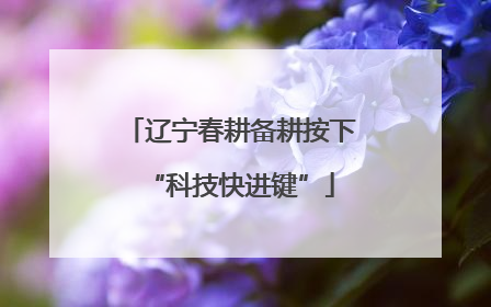 辽宁春耕备耕按下“科技快进键”