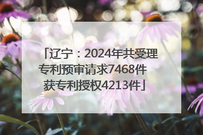 辽宁：2024年共受理专利预审请求7468件 获专利授权4213件