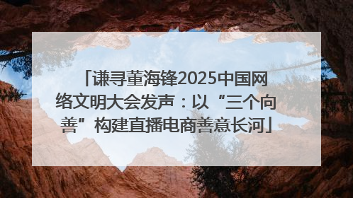 谦寻董海锋2025中国网络文明大会发声：以“三个向善”构建直播电商善意长河