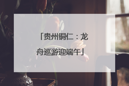 贵州铜仁：龙舟巡游迎端午