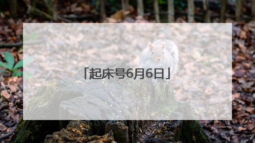 起床号6月6日