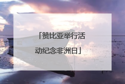 赞比亚举行活动纪念非洲日