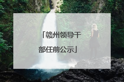 赣州领导干部任前公示
