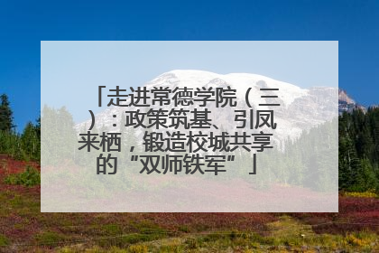 走进常德学院（三）：政策筑基、引凤来栖，锻造校城共享的“双师铁军”