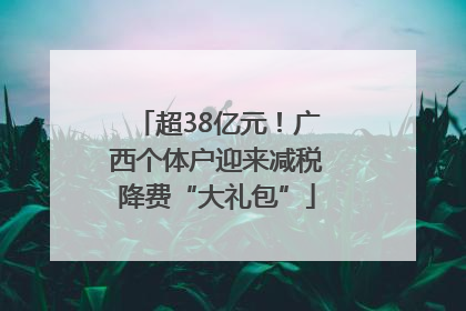 超38亿元！广西个体户迎来减税降费“大礼包”