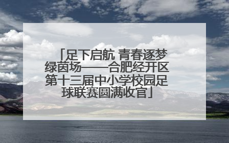 足下启航 青春逐梦绿茵场——合肥经开区第十三届中小学校园足球联赛圆满收官
