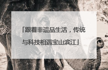 跟着非遗品生活，传统与科技相遇宝山滨江