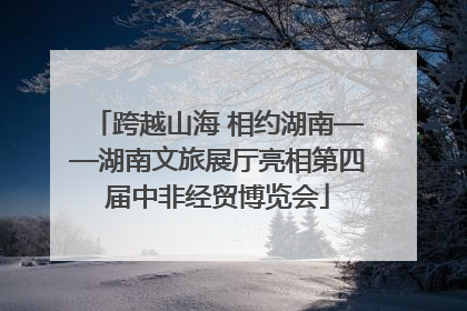 跨越山海 相约湖南——湖南文旅展厅亮相第四届中非经贸博览会