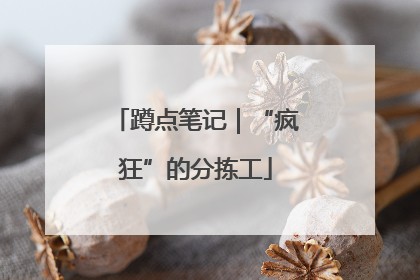 蹲点笔记｜“疯狂”的分拣工