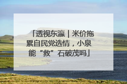 透视东瀛｜米价拖累自民党选情，小泉能“救”石破茂吗