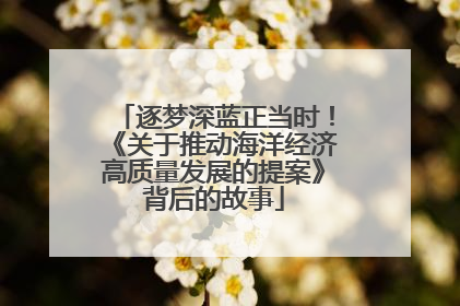 逐梦深蓝正当时！《关于推动海洋经济高质量发展的提案》背后的故事