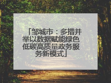 邹城市：多措并举以数据赋能绿色低碳高质量政务服务新模式