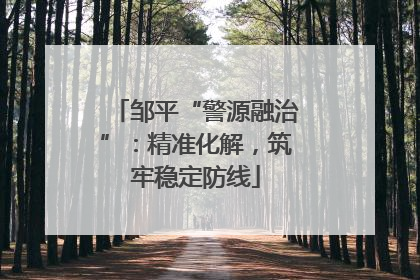 邹平“警源融治”：精准化解，筑牢稳定防线