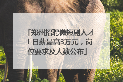 郑州招聘微短剧人才！日薪最高3万元，岗位要求及人数公布