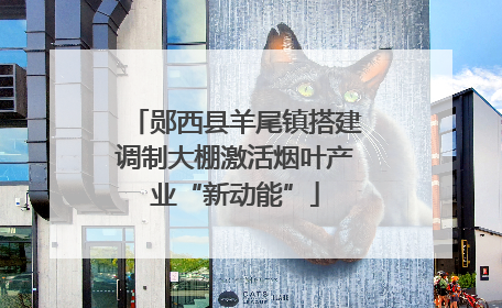 郧西县羊尾镇搭建调制大棚激活烟叶产业“新动能”