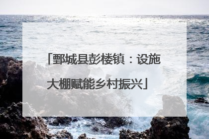 鄄城县彭楼镇：设施大棚赋能乡村振兴