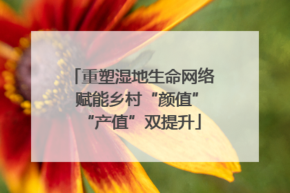 重塑湿地生命网络 赋能乡村“颜值”“产值”双提升