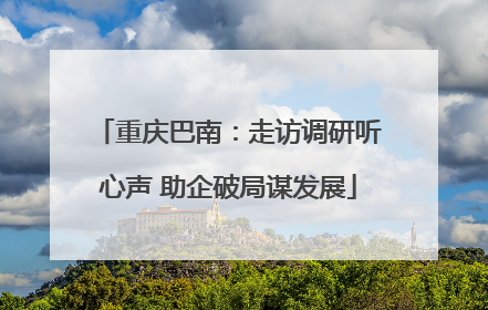重庆巴南：走访调研听心声 助企破局谋发展