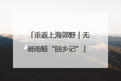 重返上海郊野｜无斑雨蛙“回乡记”