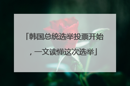 韩国总统选举投票开始，一文读懂这次选举