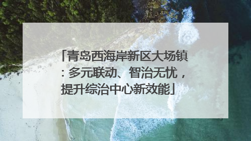 青岛西海岸新区大场镇：多元联动、智治无忧，提升综治中心新效能