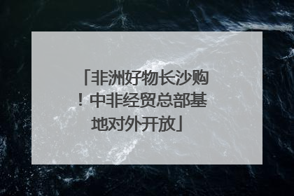 非洲好物长沙购！中非经贸总部基地对外开放