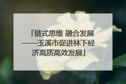 链式思维 融合发展——玉溪市促进林下经济高质高效发展