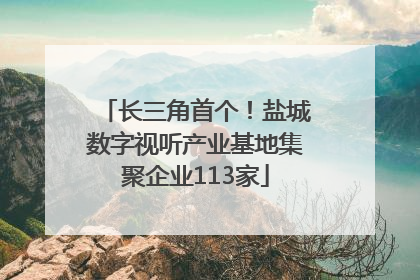 长三角首个！盐城数字视听产业基地集聚企业113家