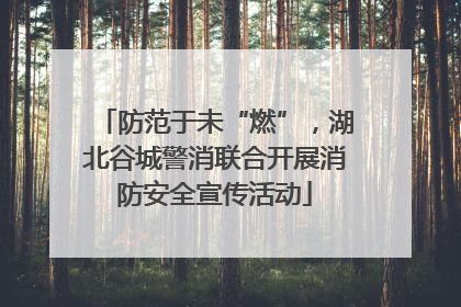 防范于未“燃”，湖北谷城警消联合开展消防安全宣传活动