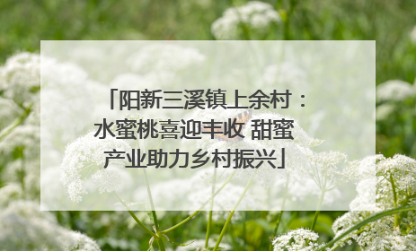 阳新三溪镇上余村：水蜜桃喜迎丰收 甜蜜产业助力乡村振兴