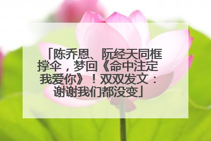 陈乔恩、阮经天同框撑伞，梦回《命中注定我爱你》！双双发文：谢谢我们都没变