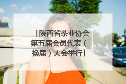 陕西省茶业协会第五届会员代表（换届）大会举行