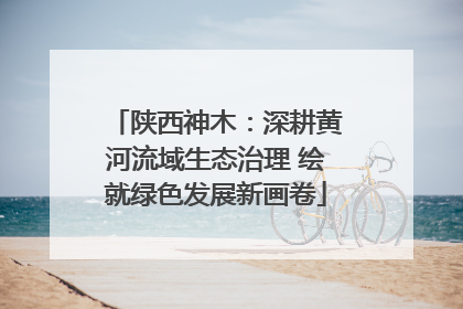 陕西神木：深耕黄河流域生态治理 绘就绿色发展新画卷