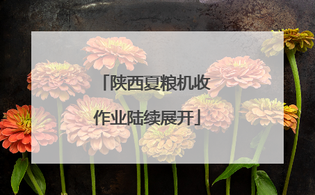 陕西夏粮机收作业陆续展开