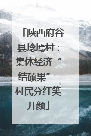 陕西府谷县埝墕村：集体经济“结硕果” 村民分红笑开颜